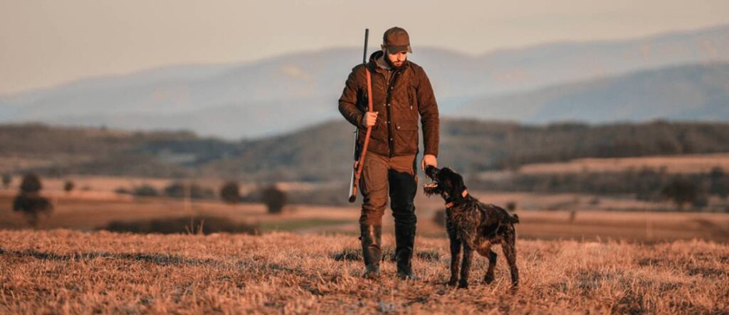 A Gun Dog is a Great Hunting Dog