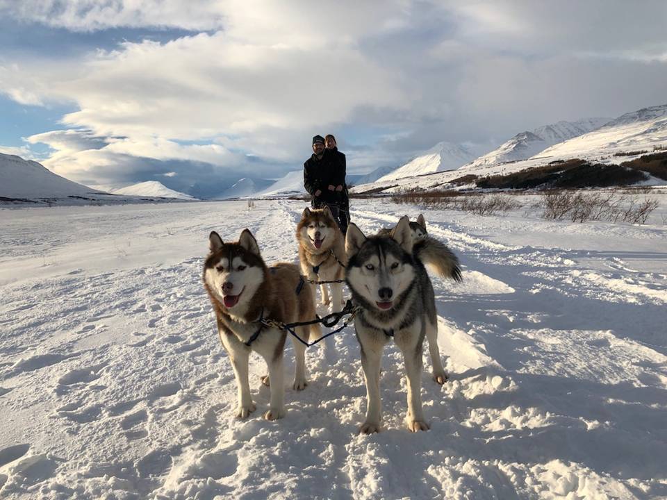 Husky Dog Sledding in Northern Iceland