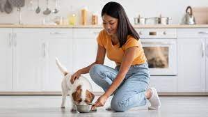 Vitamin B for Dogs