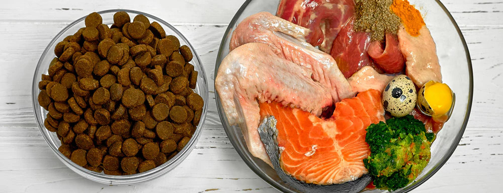 The BARF Diet for Dogs: A Comprehensive Guide