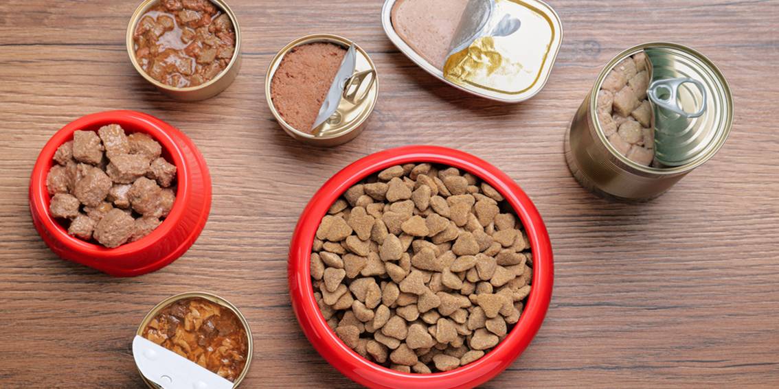 Dog Food: How to Choose It?