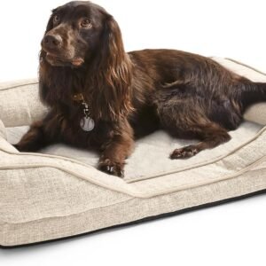 Silentnight Orthopaedic Dog Bed - Cosy Comfortable Pet Bed with Ergonomic Foam Body & Head Support - Super Soft & Sturdy Woven Removable Washable Cover, Non-Slip Base, Medium 59x80cm, Natural