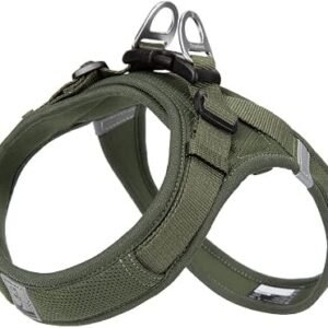 WINHYEPET Step-In Dog Harness,Easy Adjustment Harness(Moss Green,M)