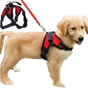 Dog Harness Mesh Breathable Comfortable Pet Vest No Pull Adjustable Soft Padded Dog Power Strap (S, Red)