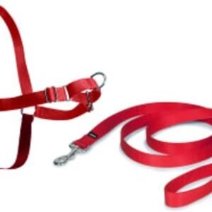 PetSafe Easy Walk Harness, No-Pull Walking Harness for Dogs, Adjustable Fit, Includes 1.8m Lead, Medium-Red