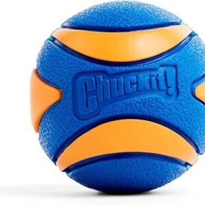 Chuckit! Ultra Squeaker Rubber Dog Ball, Small, 4.8 cm (1-Pack)