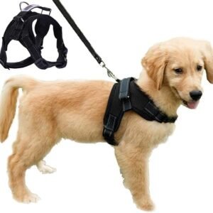 Dog Harness Mesh Breathable Comfortable Pet Vest No Pull Adjustable Soft Padded Dog Power Strap (S, Black)