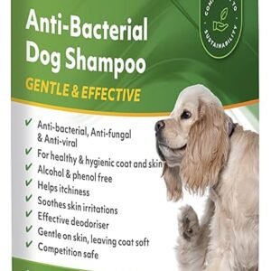 Aqueos Antibacterial, Antiviral & Antifungal Dog Shampoo | Anti-Itch | Smelly Itchy Dogs | Skin Irritations | Skin Soothing | 1 Litre
