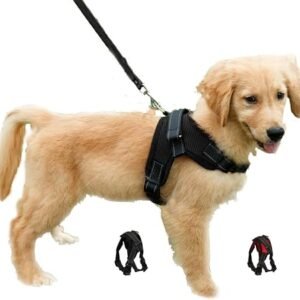 Dog Harness Adjustable No Pull Puppy Vest Harness Mesh Breathable Soft Padded Pet Chest Strap for Small Dogs (XS, Black)
