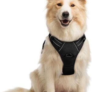rabbitgoo Dog Harness Medium, No Pull Vest with Front Clip & Handle