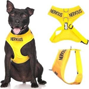 NERVOUS (Give Me Space) Yellow Colour Coded Non-Pull Front and Back D Ring Padded and Waterproof Vest Dog Harness PREVENTS Accidents By Warning Others Of Your Dog In Advance (M)
