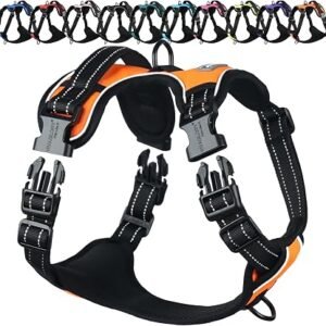 VIVAGLORY No Pull Dog Harness Vest Harness, XS, Orange - Plain