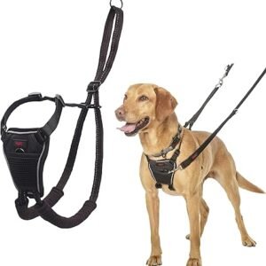 Halti No Pull Dog Harness | Size M, Black