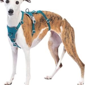 Huntboo Escape Proof Dog Harness Medium, No Pull dog harness, Blue