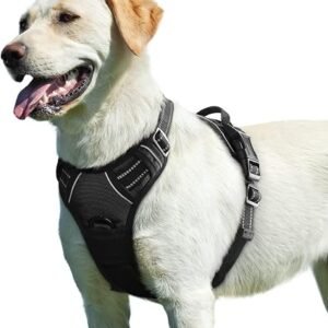 Eagloo Dog Harness Large Dog, No Pull Adjustable Vest with 2 Lead Clips
