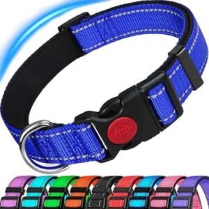 ATETEO Reflective Dog Collar with Safety Locking Buckle and Soft Neoprene Padded, Adjustable Durable Nylon Puppy Collar for Medium large Dogs,Blue,M: 13-19.7 inch