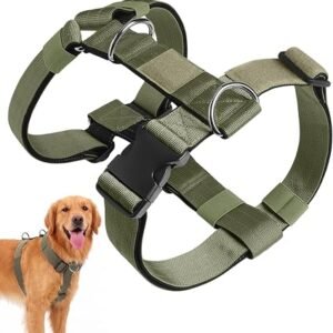 No Pull Dog Harness, Adjustable Dog Harness with Front Clip, Anti Pull No-Choke Strong Dog Harness, Soft Padded Comfortable Pet Vest for Medium Large Dogs (Green, M)