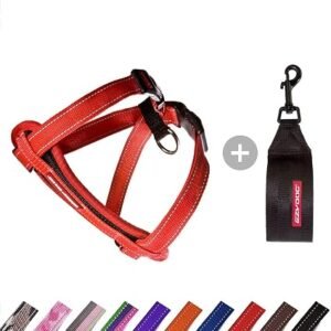 EzyDog Adjustable Chest Plate Harness - Small, Medium, XL, & Large Dogs - Step-In, No Pull, Comfort Soft-Touch, Reflective, Durable - for Active Pets
