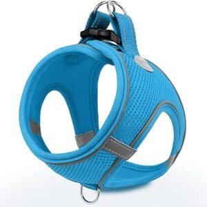 Joytale Step-in Dog Harness, Soft Breathable Mesh, Sky Blue M