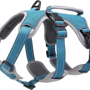 Multi-Use Support Dog Harness, Escape Proof No Pull Reflective Adjustable Vest with Durable Handle, Dog Walking Harness for Big/Active Dogs (Blue, M)