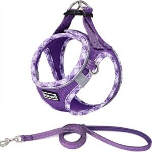 Step-in Dog Harness and Leash Set, No-Chock Soft Mesh Reflective Breathable Easy Walk Lightweight Vest Harnesses with Safety Buckle for Small Dogs, Cats, Puppies (M, Purple)