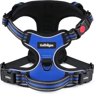 rabbitgoo Dog Harness Medium, No Pull Vest with Neck Release Buckle