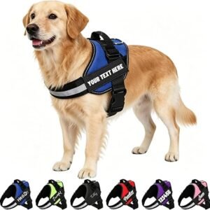 Personalised No-Pull Dog Harness with Name & Number ? Reflective Heavy-Duty Vest, No-Choke Design Prevents Neck Injury,Custom Fonts & Colors for Training,Walking & Outdoor Adventures,6 Sizes 6 Colors