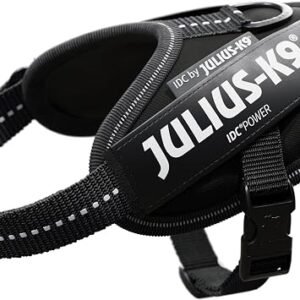 JULIUS-K9 IDC Powerharness, 2XS, no pull dog harness, Black