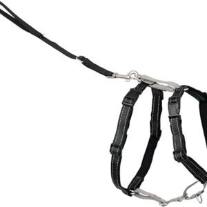 PetSafe 3 in 1 Dog Harness - No Pull Solution for Dogs - Reflective Dog Harness - Front D-Ring Clip Helps Stop Pulling - Comfortable Padded Straps - Top Handle Enhances Control - Black - Extra Small