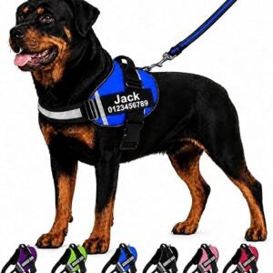 Personalised No Pull Dog Harness Leash Set with Custom Name and Phone Number, Heavy Duty Pet Vest to Prevent Tugging, Pulling, or Choking, Training and Walking (XS-XXL, 9 Colorful)?