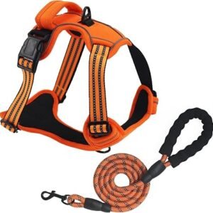 Dog Harness Medium No Pull for Large Dogs and Lead set Adjustable Reflective Pet Vest with Front clip Handle Padded dog harness best for outdoor Training and walking Orange L