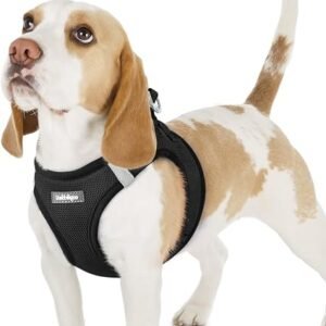 rabbitgoo Dog Harness Small Dog, Step-in Soft Mesh Vest, Black