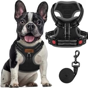 FAYOGOO No Pull Dog Harness Front Clip Adjustable Reflective for Small Medium Large Dogs UK Walking Training French Bulldog Handle Pulling
