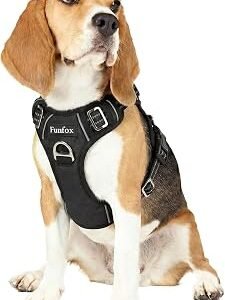 Dog Harness Medium, No Pull Harness with Front Clip & Vertical Handle, Adjustable Anti Pull Padded Pet Vest, Reflective Night Walking Size for Small Medium Large Breed, Black M