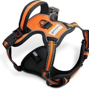 FurDreams Dog Harness ? Secure Padded Vest Harness, Comfortable Material with Reflective Strips, Non-Restrictive, No Choke Fit with 4 Adjustable Straps, No Pull, Clip On Easy (Small, Orange)