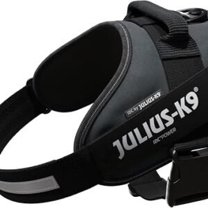 JULIUS-K9 IDC Powerharness, L, no pull dog harness, Anthracite