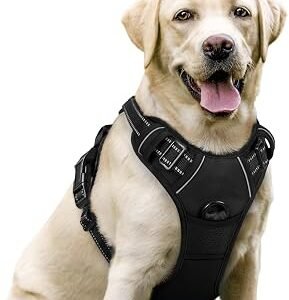 rabbitgoo Dog Harness Large Dog, No Pull Vest with Front Clip & Handle