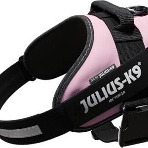JULIUS-K9 IDC Powerharness, L, no pull dog harness, Pink