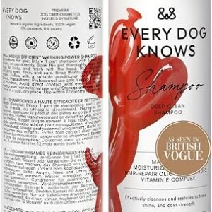 Dog Shampoo ? Deep Clean Pet Shampoo for Dogs & Cats | Moisturizing Dog Wash with Aloe Vera, Vitamin E & B5 | pH Balanced 7.4 | Removes Dirt & Odor | For All Coat Types | 500ml
