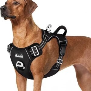 Eyein Dog Harness Large Dog, No Pull Dog Harness with Front Clip and Handle