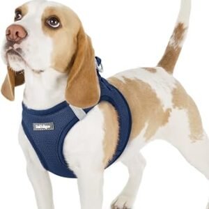rabbitgoo Dog Harness Small Dog, Step-in Soft Mesh Vest, Navy Blue
