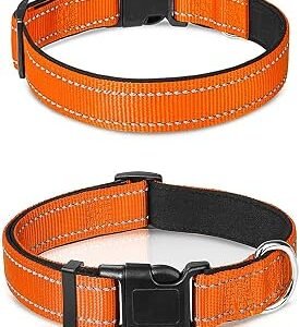 Reflective Dog Collar, Adjustable Pet Collar with Quick Release Buckle & Soft Neoprene Padded for Small Medium Dog Pet, 14-26in (Orange)