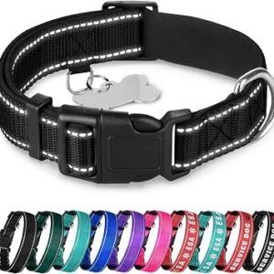 TECEUM Reflective Dog Collar Black M ? Soft Padding ? Nylon, Quick Release