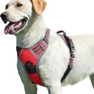 Eagloo Dog Harness Large Dog, No Pull Adjustable Vest with 2 Lead Clips