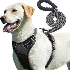 Adjustable No Pull Dog Harness with Free 5ft Leash, Breathable & Durable for All Breeds (Black, Medium)