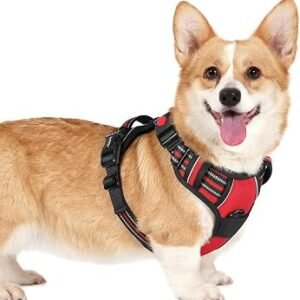 rabbitgoo Dog Harness Small Dog, No Pull Vest with Neck Release Buckle