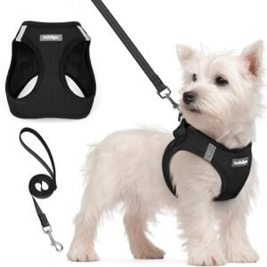 rabbitgoo Small Dog Harness and Lead Set, Step-in Soft Mesh Puppy Harness