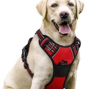 rabbitgoo Dog Harness Large Dog, No Pull Vest with Front Clip & Handle