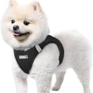 rabbitgoo Dog Harness Small Dog, Step-in Soft Mesh Vest, Black