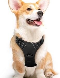 Eagloo Dog Harness Medium, No Pull Adjustable Vest with 2 Lead Clips